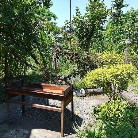 Guest House Of Givi コブレチ エクステリア 写真