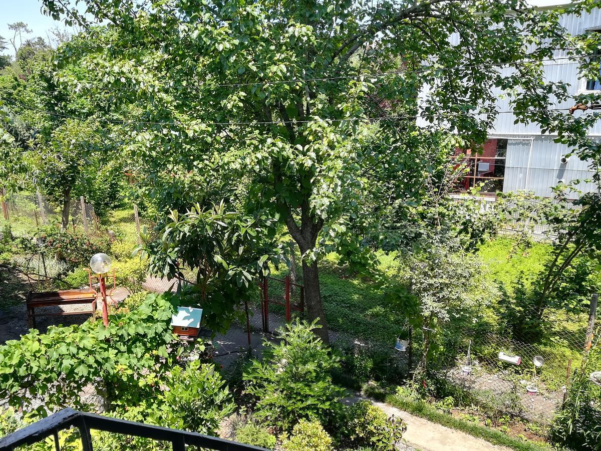 Guest House Of Givi コブレチ エクステリア 写真
